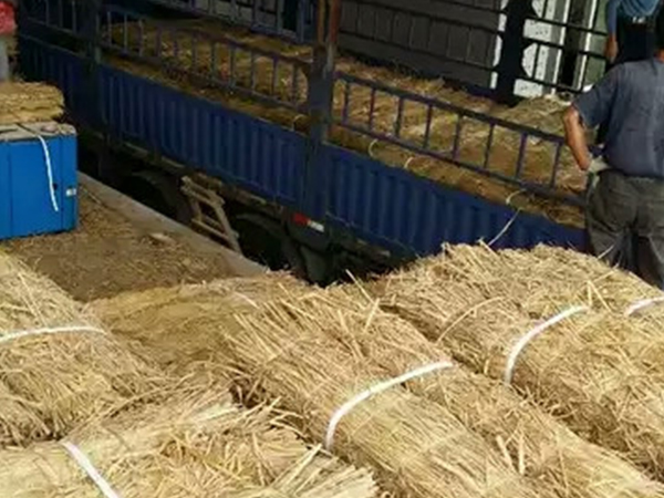 不會使用條形草支墊，建學草編制品來教你